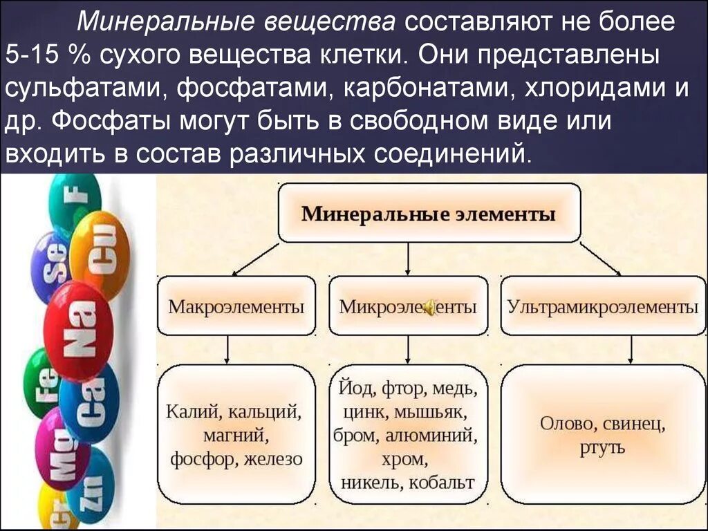 Минеральные вещества. Минеральные вещества клетки. Понятия Минеральных веществ.