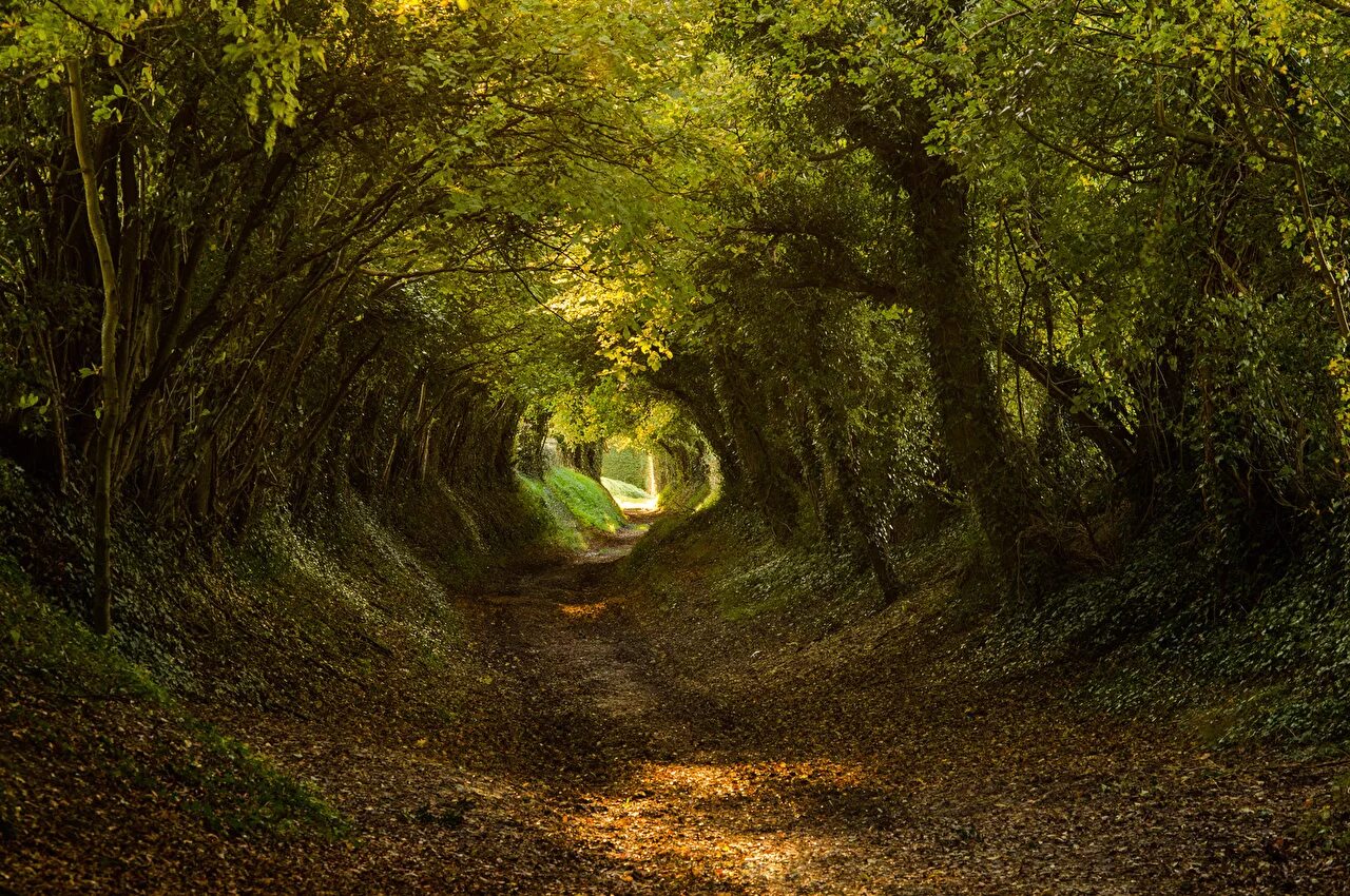 Path thread