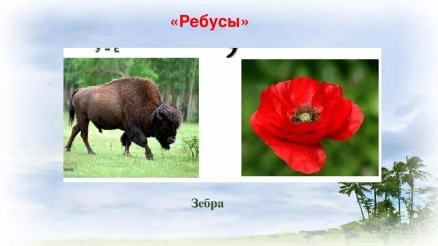 Ребус ответ зебра. Ребус зебра. ребусы по зебра. ребус про зебру для детей. ребус к слову зебра.