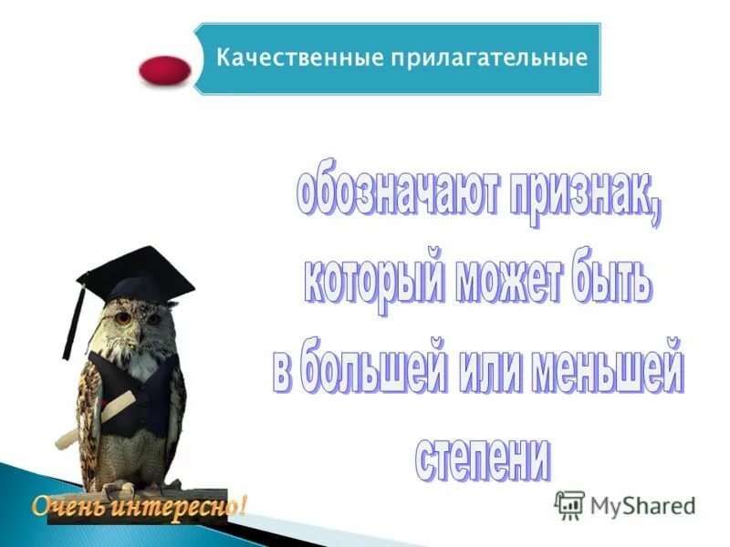 качественные прилагательные на букву п. качественные прилагательные на букву п. описание прилагательных на английском. прилагательные слова список. прилагательные.