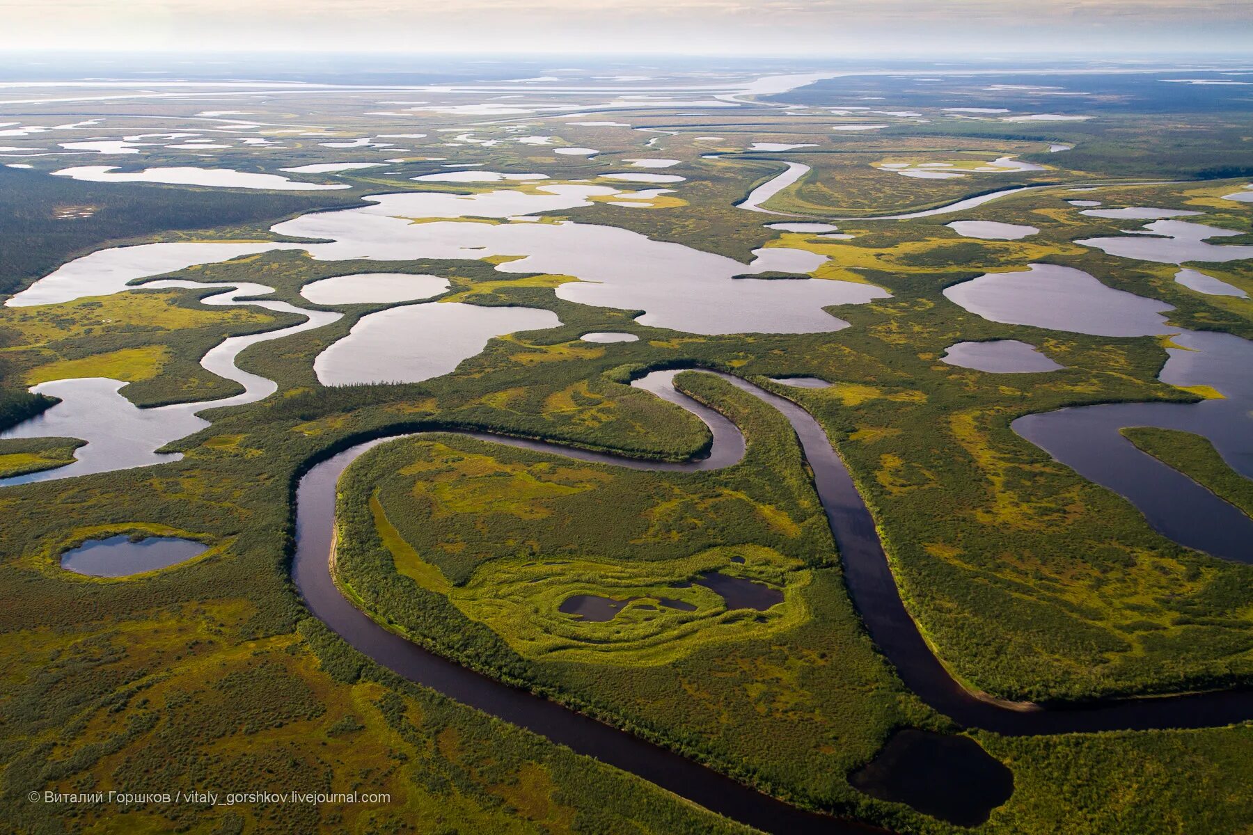 Какие воды есть в тундре