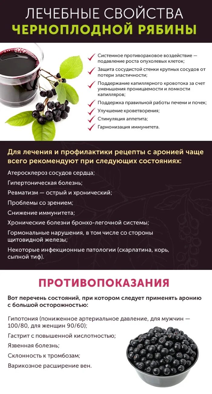 Можно ли черноплодку