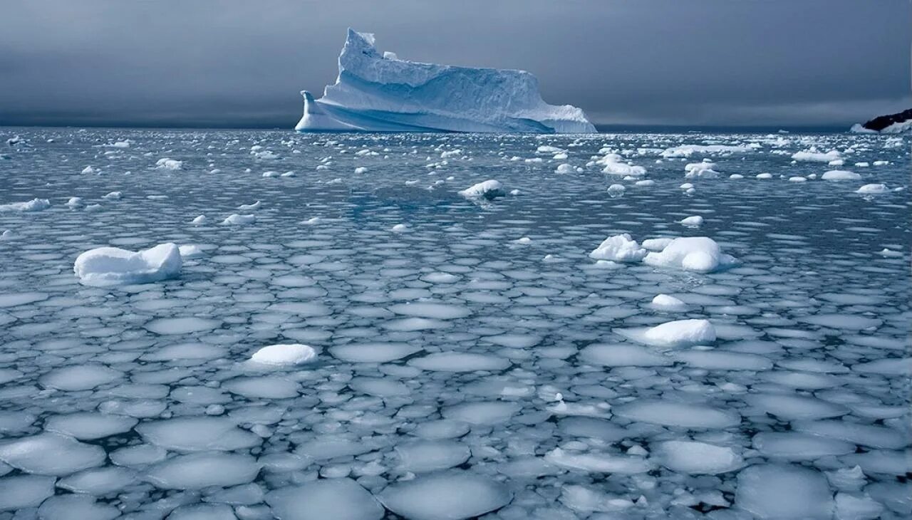 Климат Северного Ледовитого океана. Глобальное потепление Северного Ледовитого океана. Северный Ледовитый океан паковый лед. Северный полюс таяние ледников.