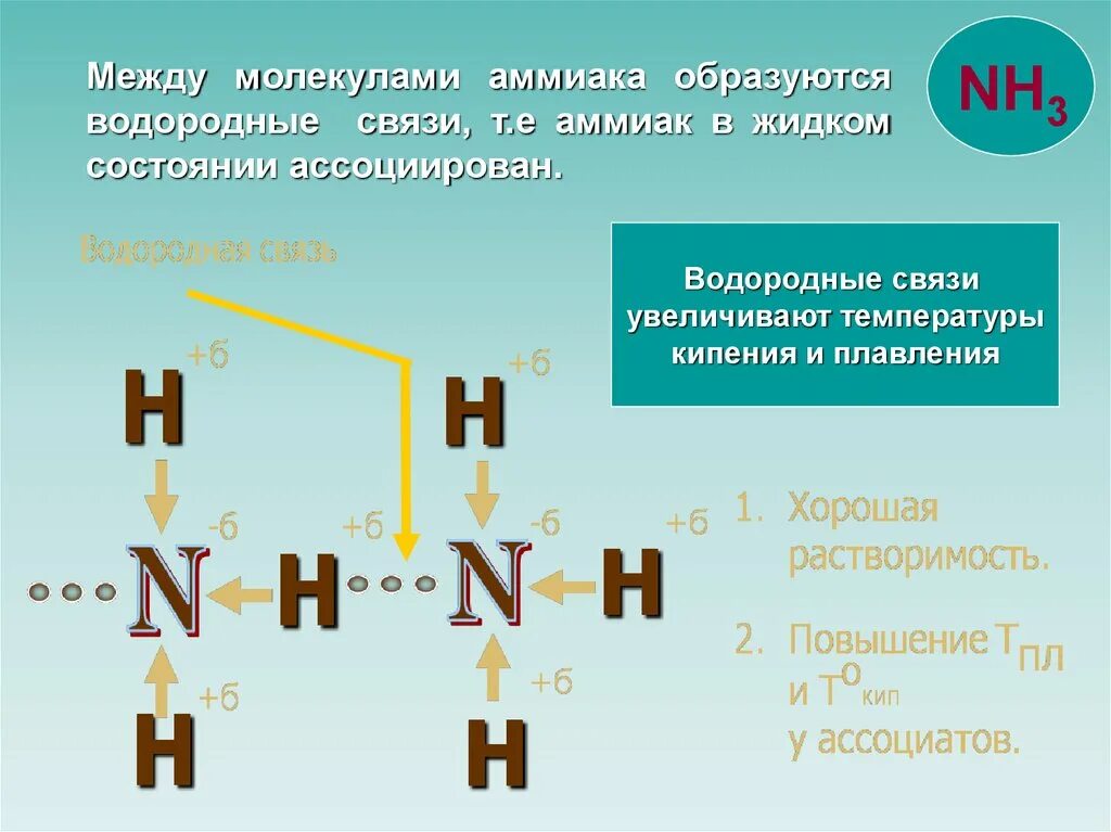 Аммиак nh3. Схема образования водородной связи nh3. Связь в молекуле аммиака. Связь между молекулами аммиака.