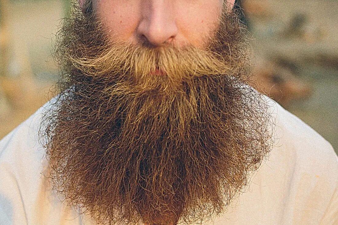 Почему запрещают бороду. Борода. Большая борода. Кудрявая борода. Боярин с бородой.