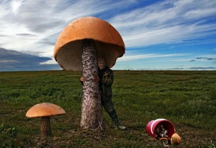 Фотография Я шагаю по тропинке, нет пока грибов в корзинке... Фотографии Ухты
