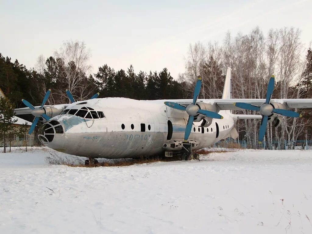 Самолет в доле. Чкаловец лагерь Новосибирск самолет. Бурмистрово Чкаловец. Антонов АН-10. АН 22 ra 09344.