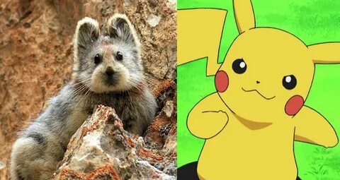 Pika ai нейросеть