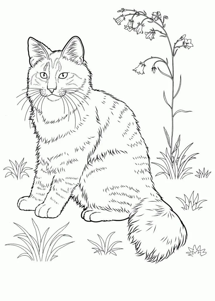 Раскраска кошка распечатать бесплатно формат а4 Cat Coloring Pages PDF  Kittens coloring, Dog coloring page,