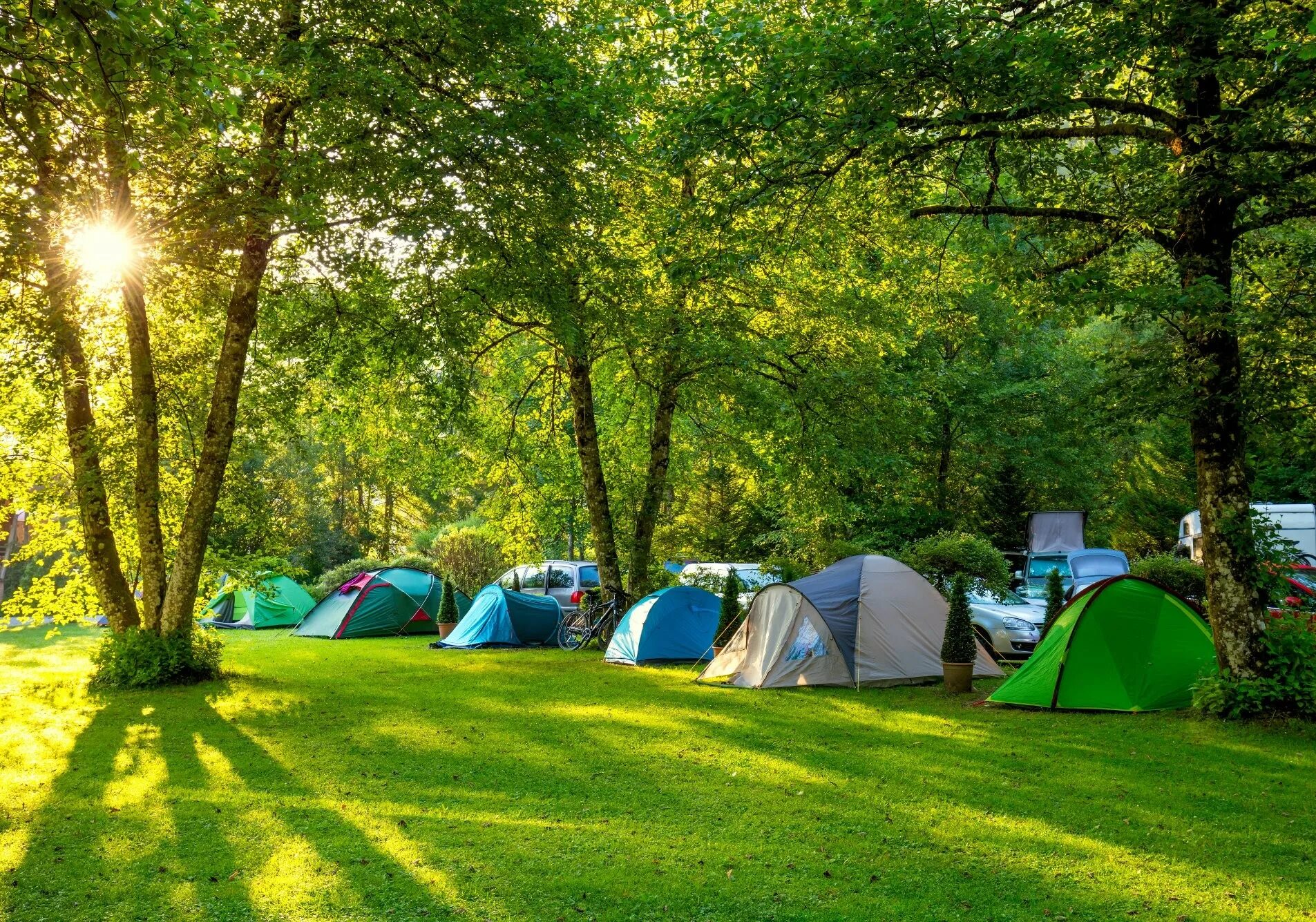 Camp go camping перевод. Палатка Camping Tent. Палатка Ronin Camp. Кемпинг Увильды. Привольная Поляна палаточный лагерь.