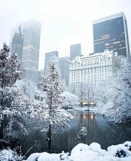Snowing new