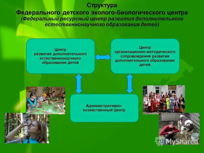 Программы центры дополнительного образования детей. Программы центры дополнительного образования детей