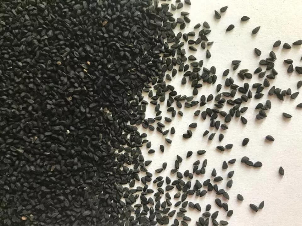 Семена черные мелкие. Маленькие черные семена. Черные маленькие семечки. Специи черные мелкие семена.
