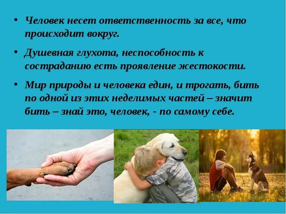 Как характеризует человека забота о живых существах сочинение. Запросы это потребности человека. Цель проекта о домашних животных. Как характеризует человека забота о живых существах. Сочинение размышление на тему человек и природа.