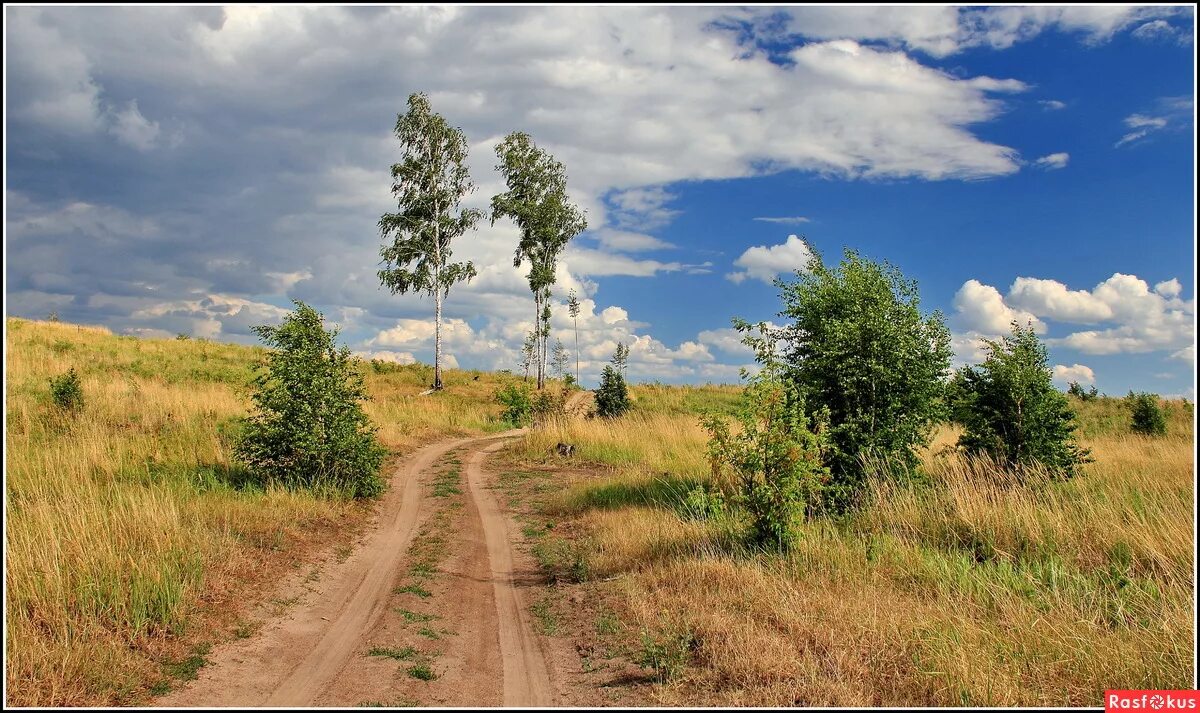 Слушать две березки у дороги