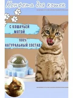 Кошачье лакомство с мятой