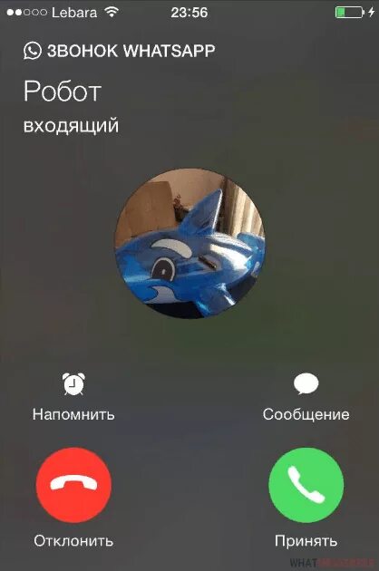 Ватсап видеозвонки. Входящий видеозвонок ватсап. Видеозвонок WHATSAPP на андроид. Видеозвонок в ватсапе с компьютера. Звук видео звонка ватсап