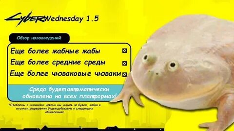 It is Wednesday My Dudes (it's wednesday my dudes, its wednesday my dudes, It is
