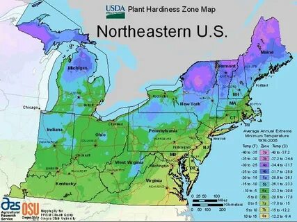 North east usa