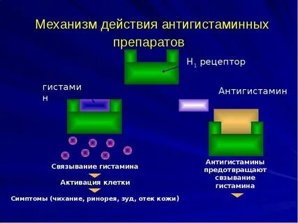 Как действует антигистаминное