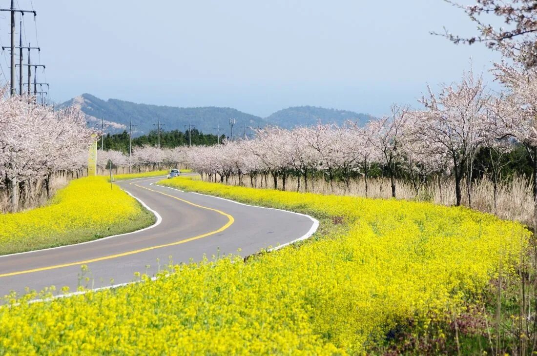 Spring travel