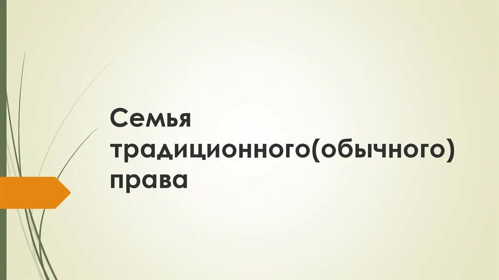 Основные правовые системы современности. Какое право называют классическим. Традиционное право. Право и личность. Традиционная правовая система.