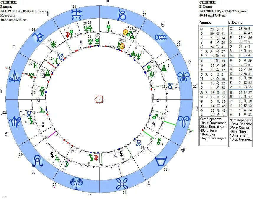 Марс в 7 доме соляра. Дирекция и прогрессия в астрологии. Натальная карта. Планеты в соляре. Соляр в 7 доме в рыбах.