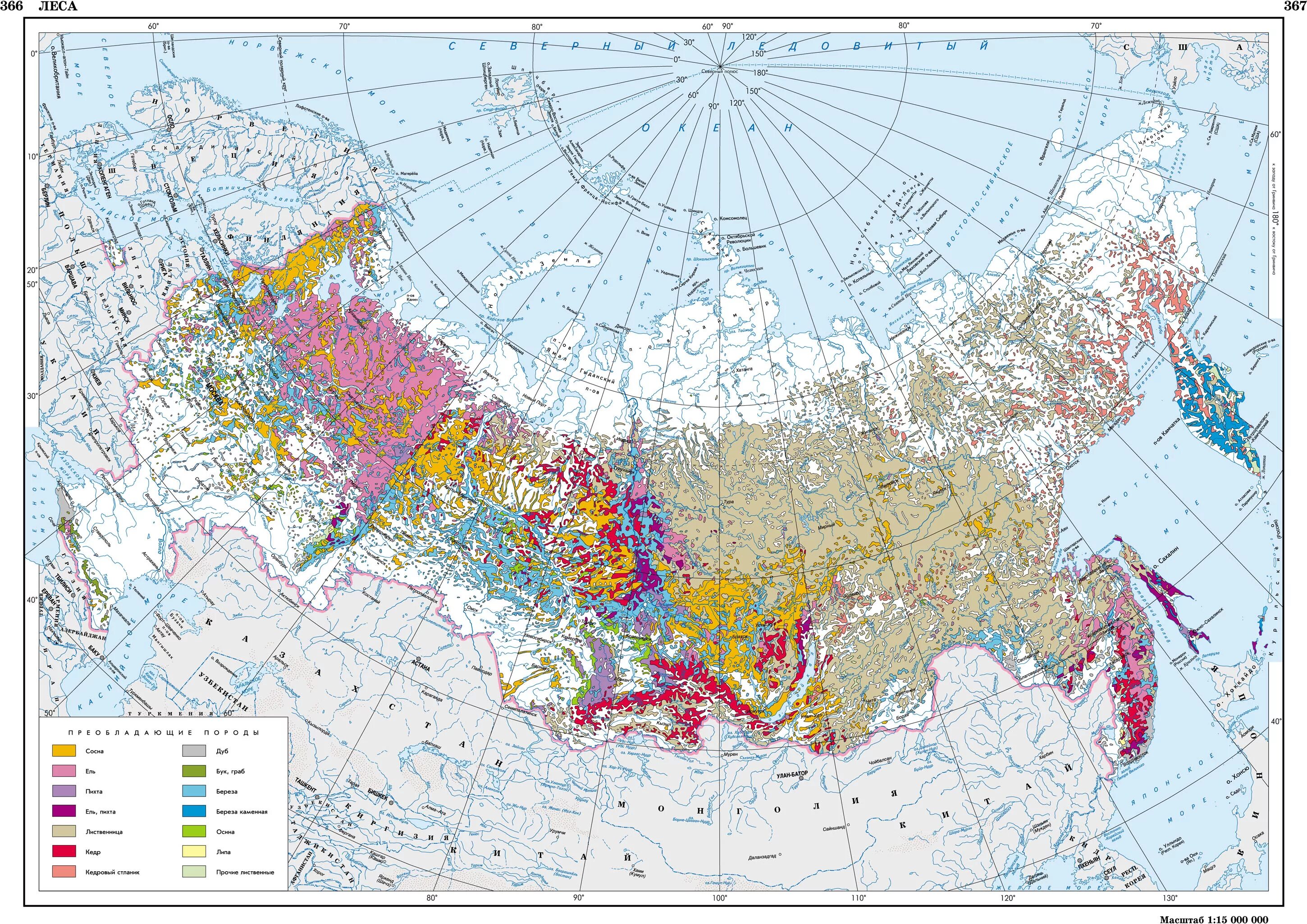 Карта лесов РФ. Леса России карта. Сосновые леса в России на карте. Преобладающие Лесные породы карта России. Где находится порода