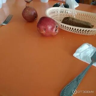Лагерь розовый фламинго прохладный