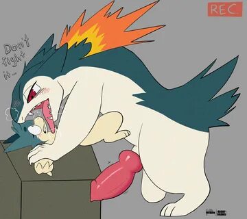 borky-draws, typhlosion, nintendo, hi res, animal genitalia, animal penis, ...