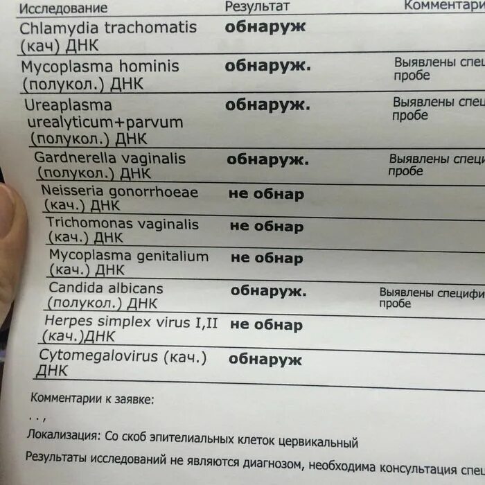 Chlamydia trachomatis (кач) ДНК. Обнаружение ДНК Chlamydia trachomatis что это такое. Chlamydia trachomatis и Ureaplasma parvum. ДНК уреаплазма парвум.