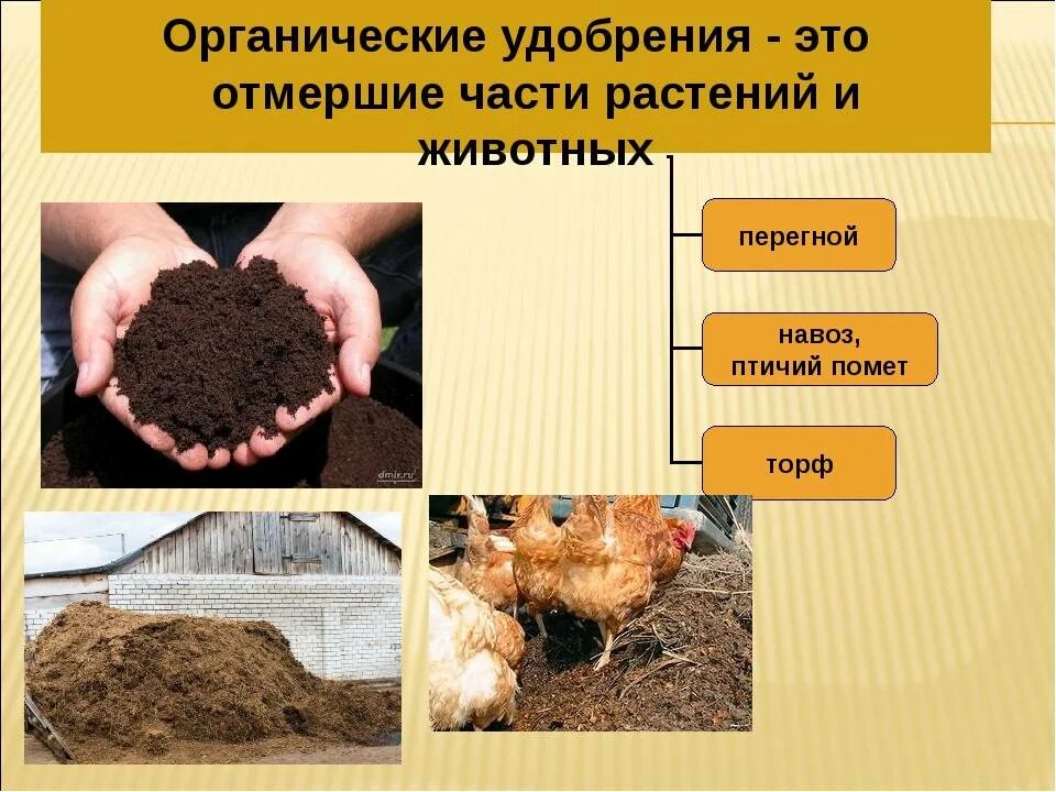 Примеры органических удобрений. Удобрение органическое. Органические удобрения для почвы. Органические удобрения презентация. Органические удобрения навоз.