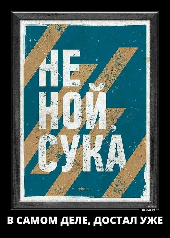 Картинка не ной сука