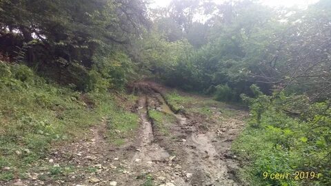 Погода в баракаевской