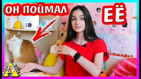 Поймать алису
