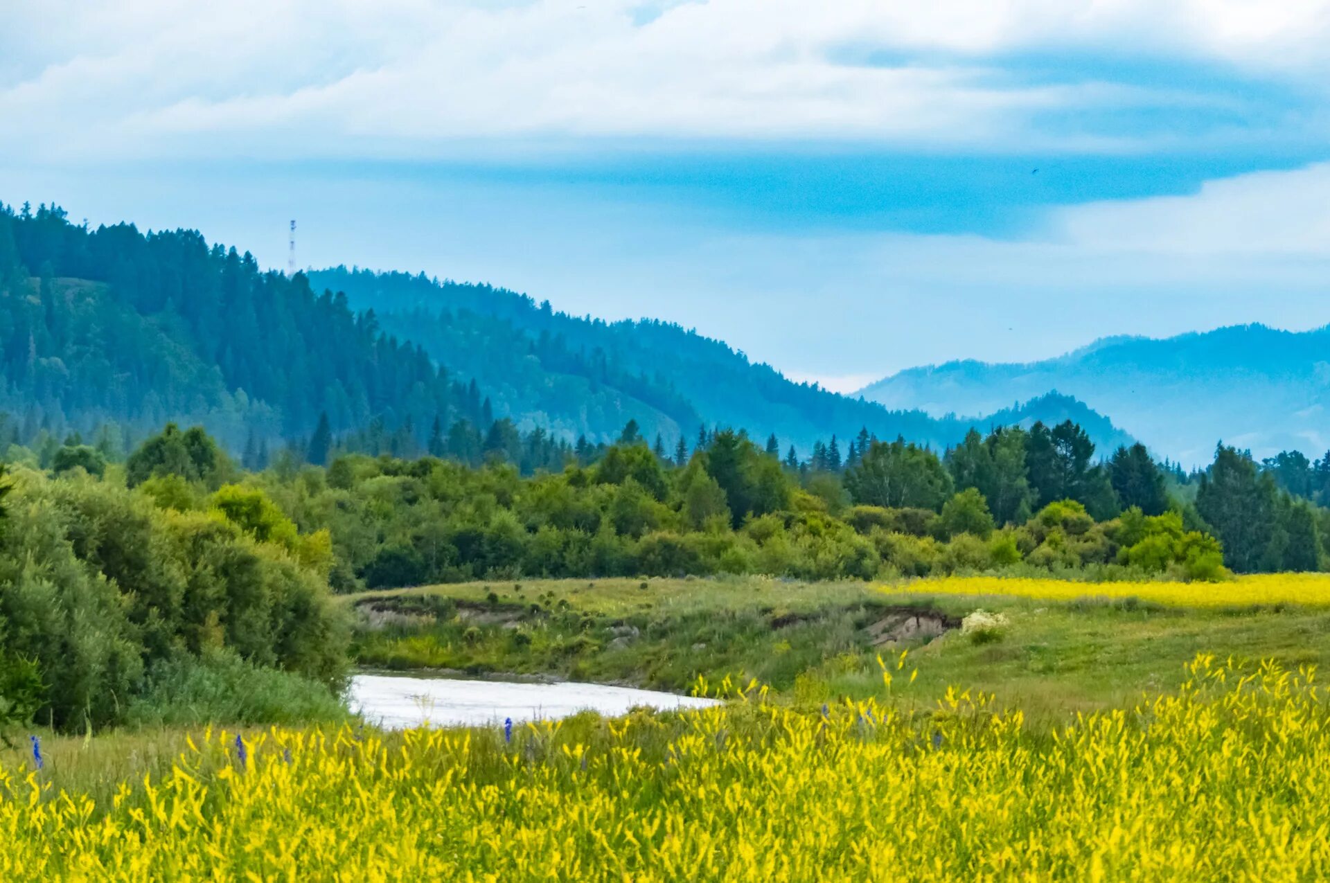 Уймонская долина горный алтай. Уймонская долина. Уймонская долина. Горно алтайск уймонская долина. Уймонская долина горный алтай.