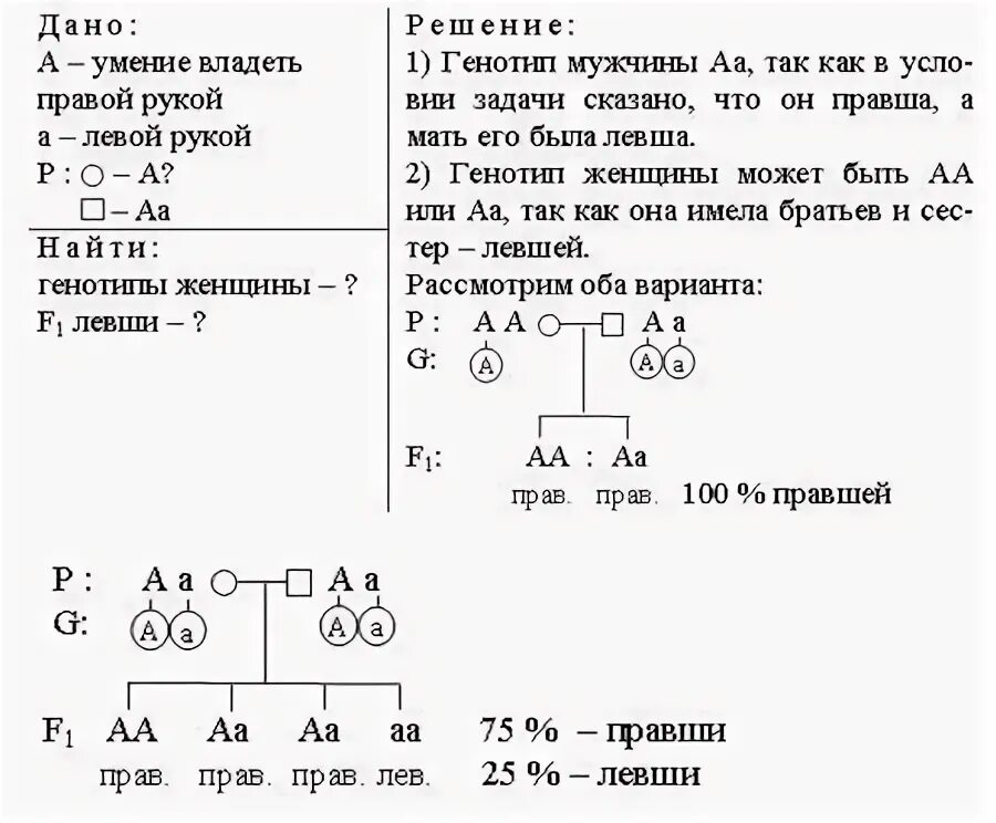 Отец имеет короткие ресницы рецессивный аутосомный