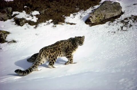 Порно Черкассы қаласында түсірілген