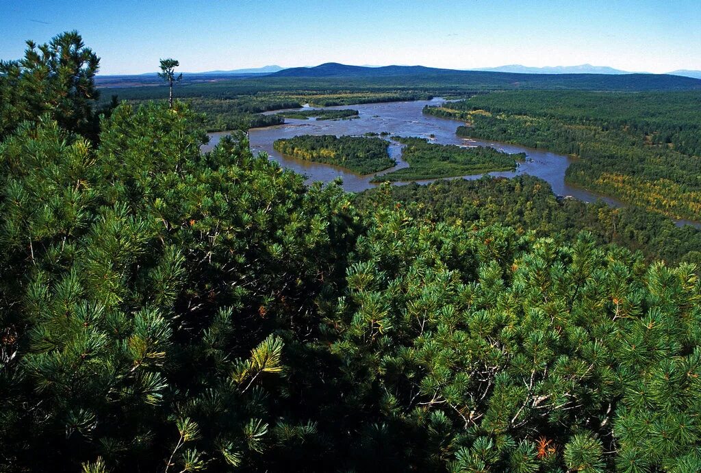 Кава челомджинский участок магаданского заповедника. Сеймчанский участок магаданского заповедника. Посёлок дукат магаданской области. Ямский участок магаданского заповедника. Магаданский государственный природный заповедник.