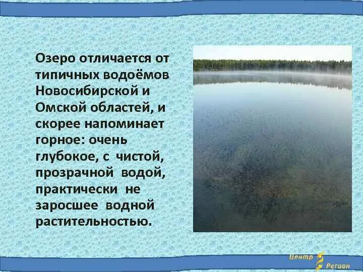 Отличие пруда от озера. Водоёмы Новосибирской области. Сообщение о водоеме Новосибирской области. Озеро пруд отличие. Озеро Данилово вода.