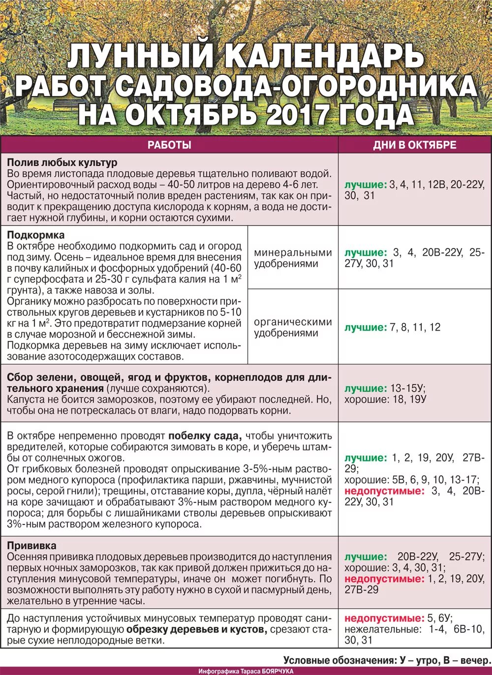 Фаза луны в маи 2025г для огородников