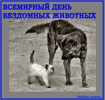 Подожди помоги