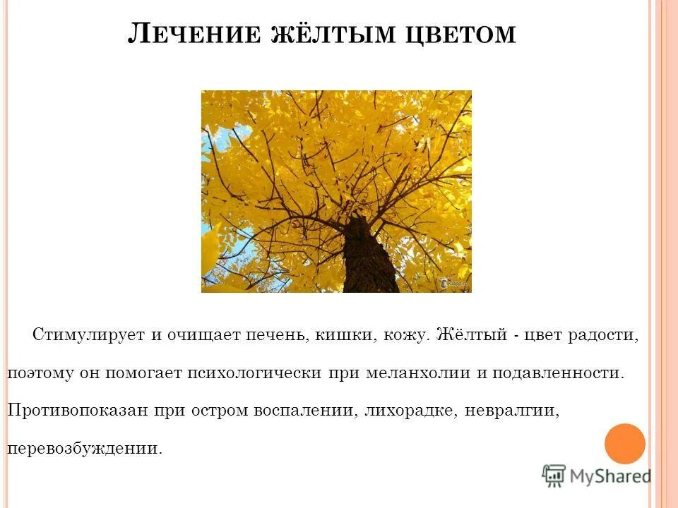 жёлтый цвет значение. влияние цвета на настроение человека. как влияет желтый цвет. жёлтый цвет в психологии человека. влияние цвета на психику.