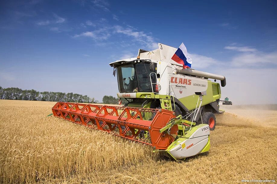 Комбайн CLAAS Medion. Комбайн универсал 600. Клаас комбайн уборка зерна. Комбайн Клаас Тукано 450 уборка подсолнечника.