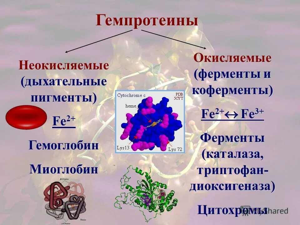 Небелковая часть фермента