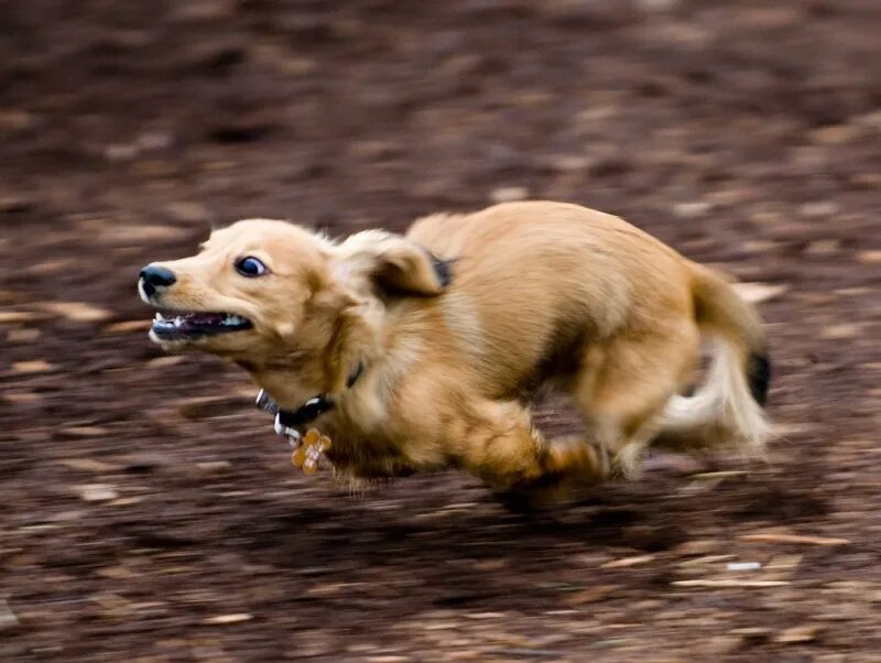 Дорога сюрреализм. Движущийся поезд. Уход с работы вечером в пятницу. Поезд на закате. Станция метро subway лондон.