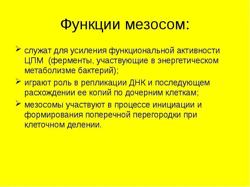 Бактерии их функции. Мезосомы строение и функции. функции мезосом в бактериальной клетке. мезосомы бактерий функции. мизосомыстроение и функция.
