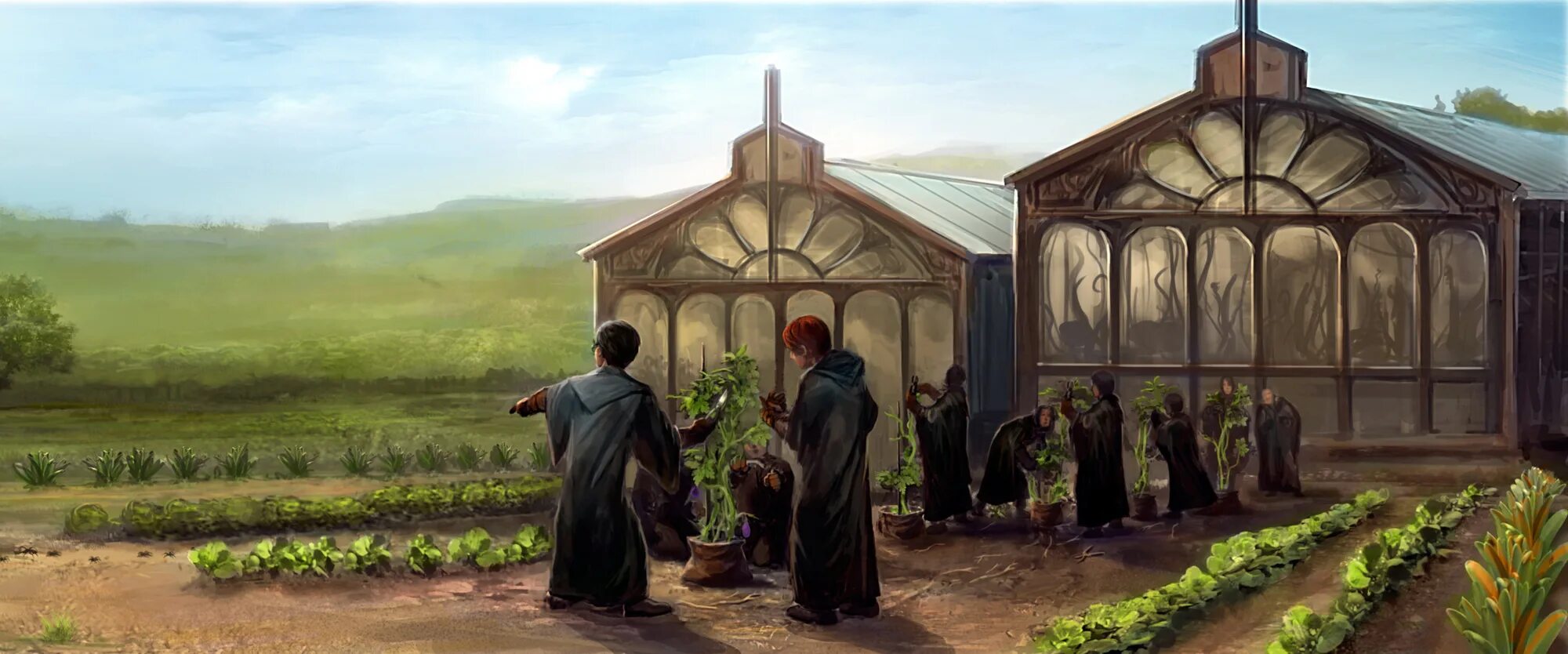 Хогвартс. Вырастить и собрать урожай водорослей хогвартс. Морская капуста растет. Профессор стебель хогвартс легаси. Вырастить и собрать урожай водорослей хогвартс.