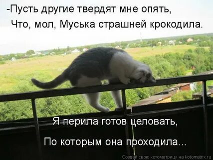 Я опять вас не поняла