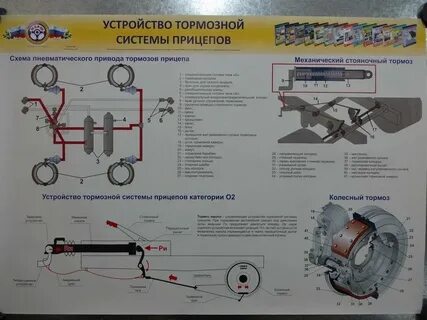 Устройство и работа пневматической тормозной системы